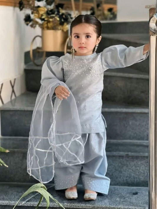 Girls Grey Pakistani Shalwar Kameez
